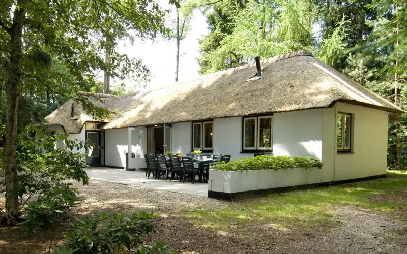 53-Vakantiepark-Het-Lorkenbos-bungalow-Lariks