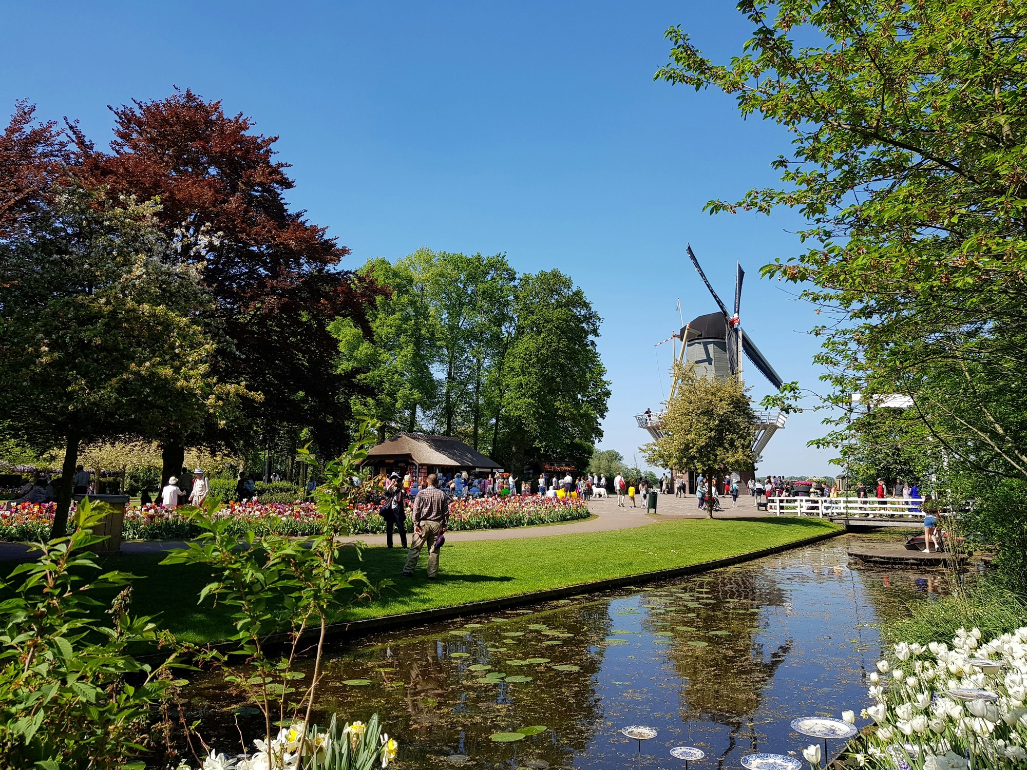 keukenhof