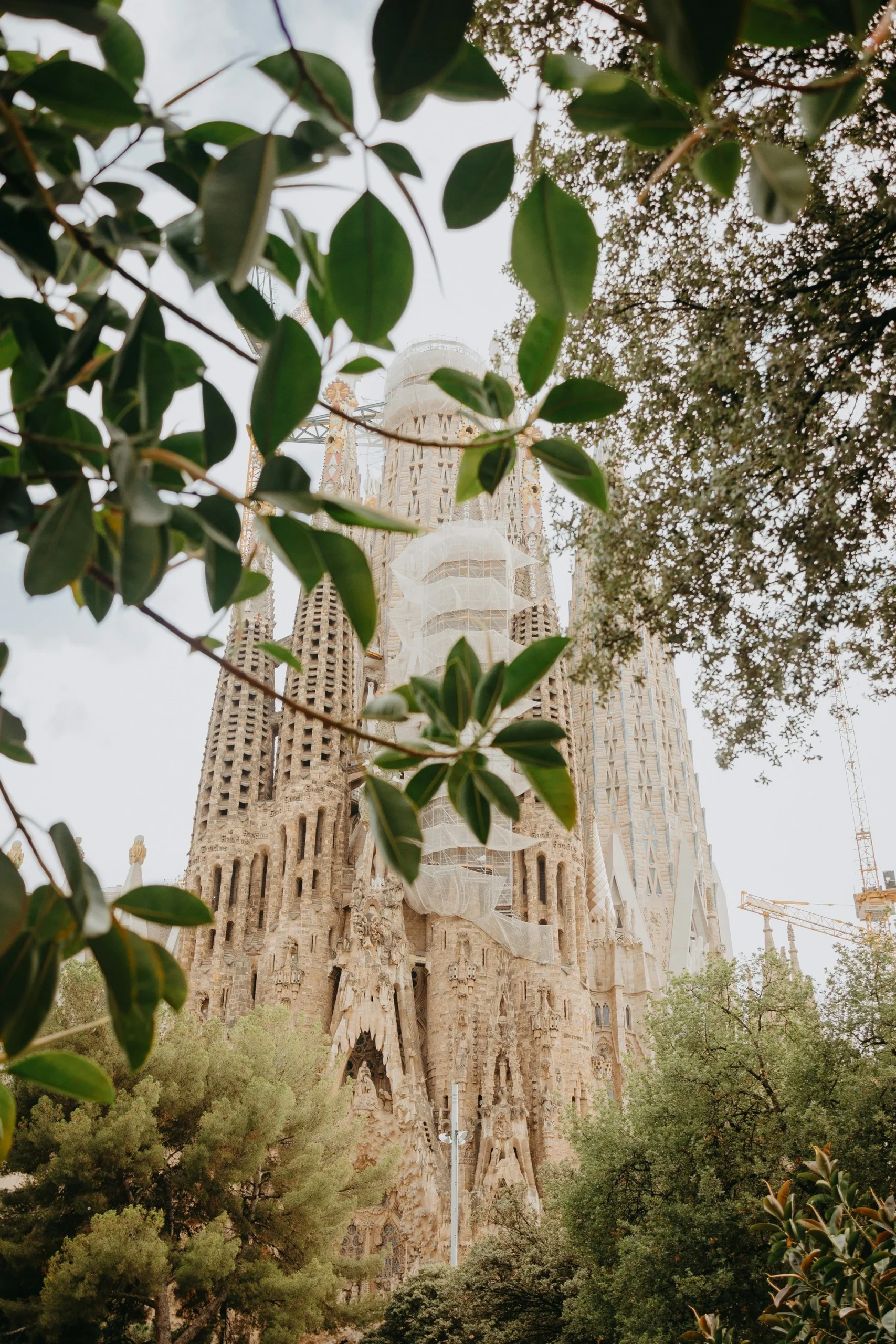 sagrada-familia