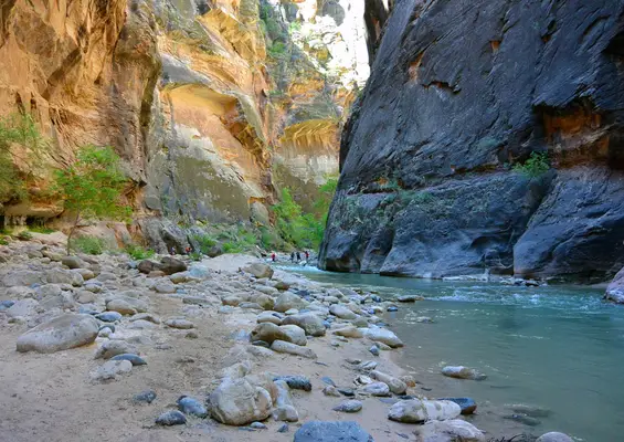 Zion-National-Park-The-Narrows-&-Virgin-River