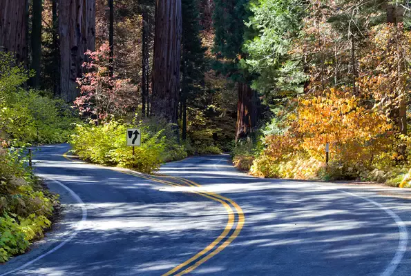 Sequoia-NP-Weg-door-het-park