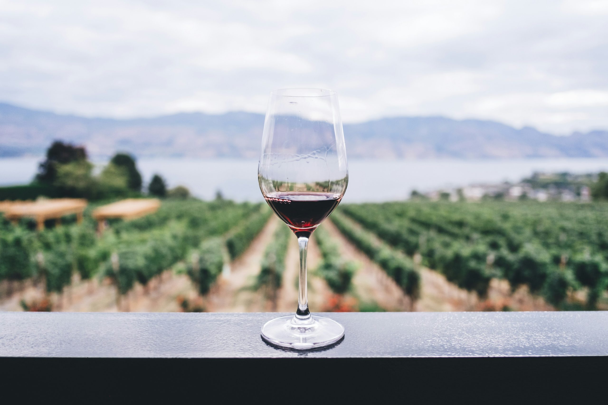 Wine-region-Okanagan-Valley