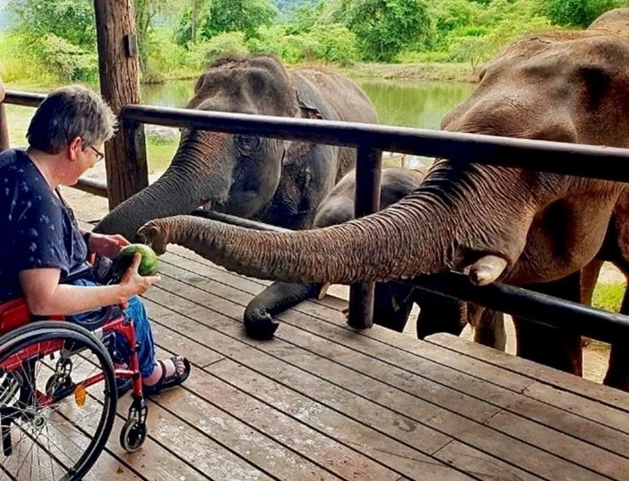 rondreis-best-of-thailand-olifant-2