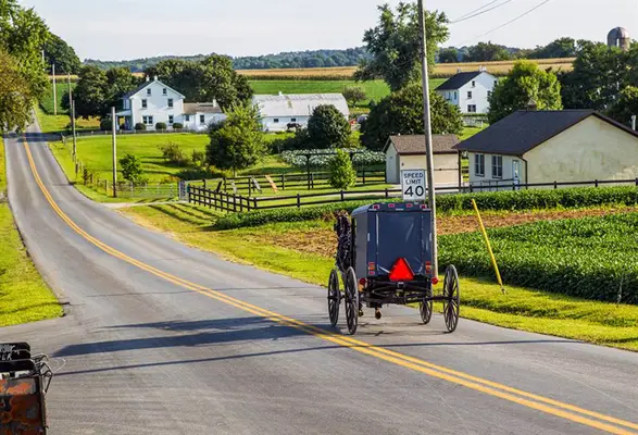 Amish-Paard-en-Wagen