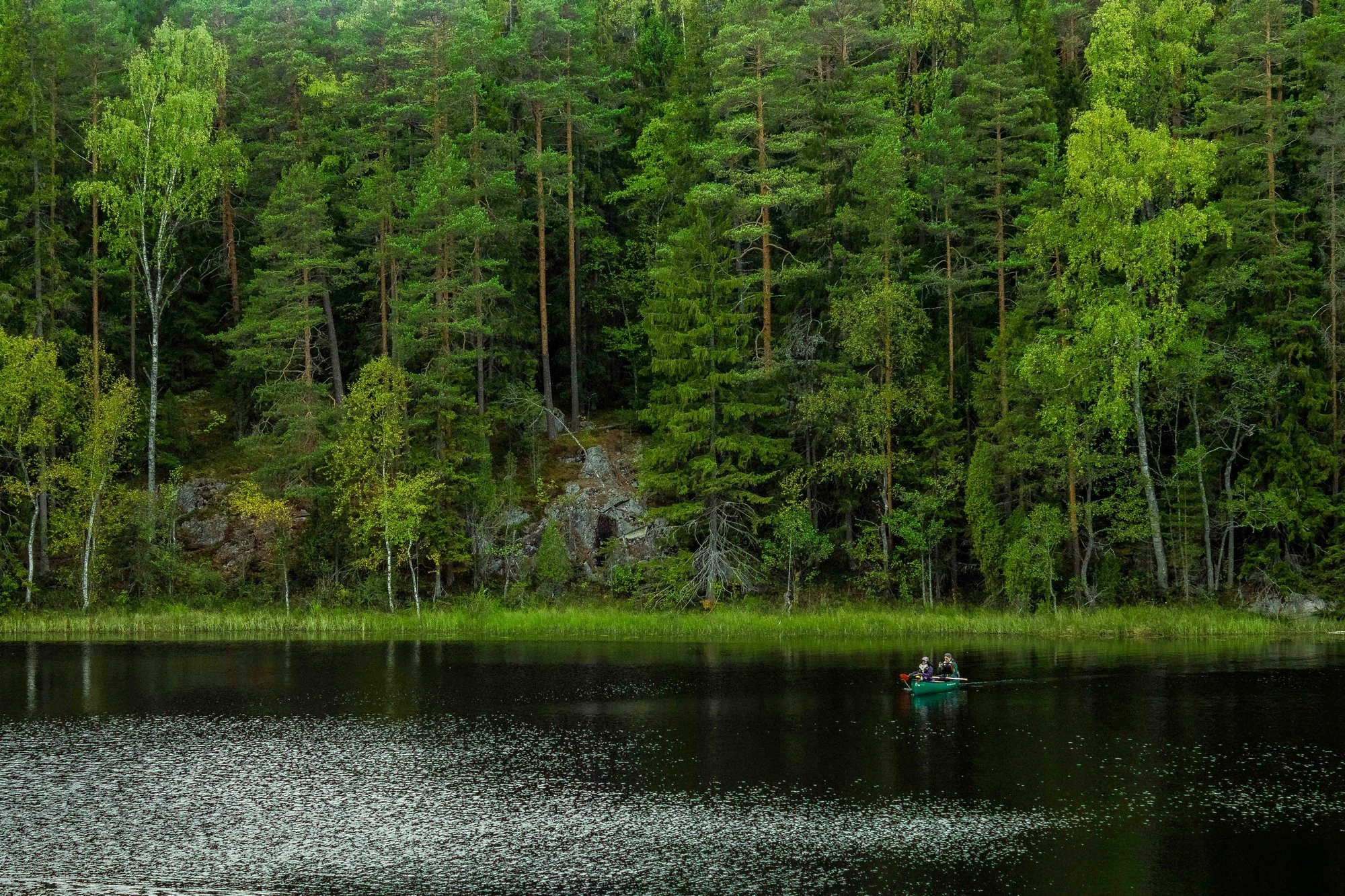 nuuksio-nationaal-park