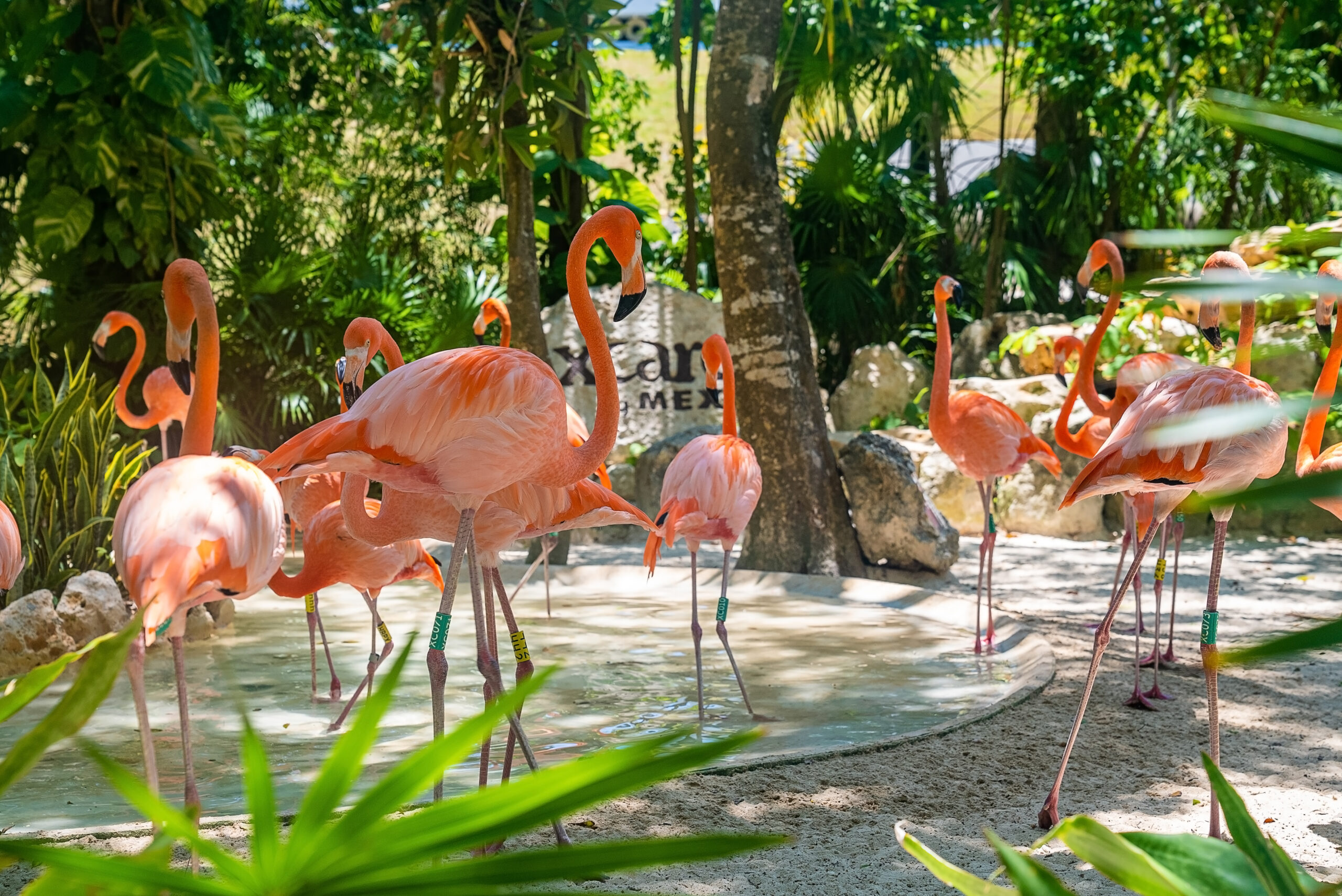 Xcaret Park